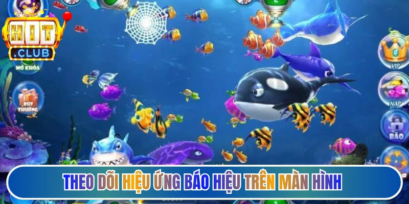 Theo dõi hiệu ứng báo hiệu trên màn hình