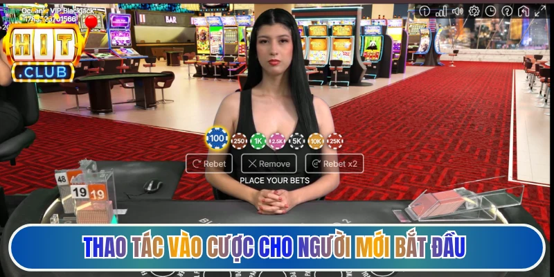 Thao tác vào cược cho người mới bắt đầu